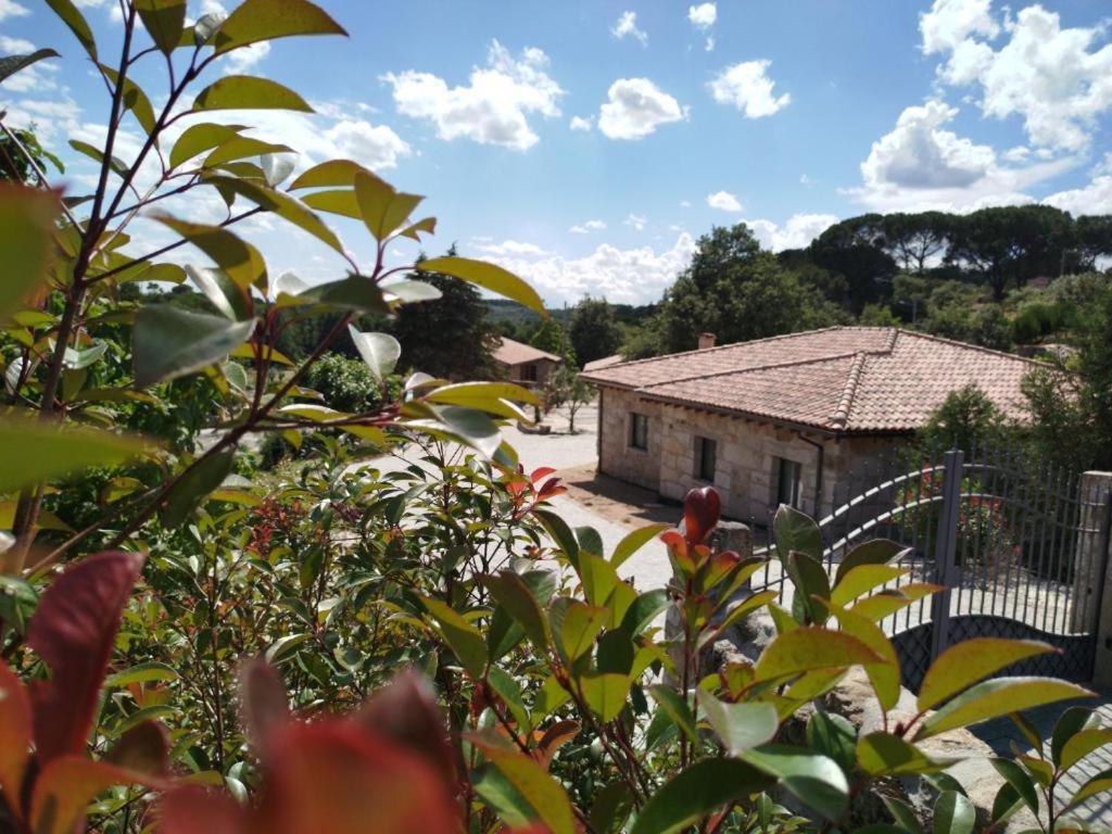 Hotel Quinta Da Abadia Mangualde Exterior foto
